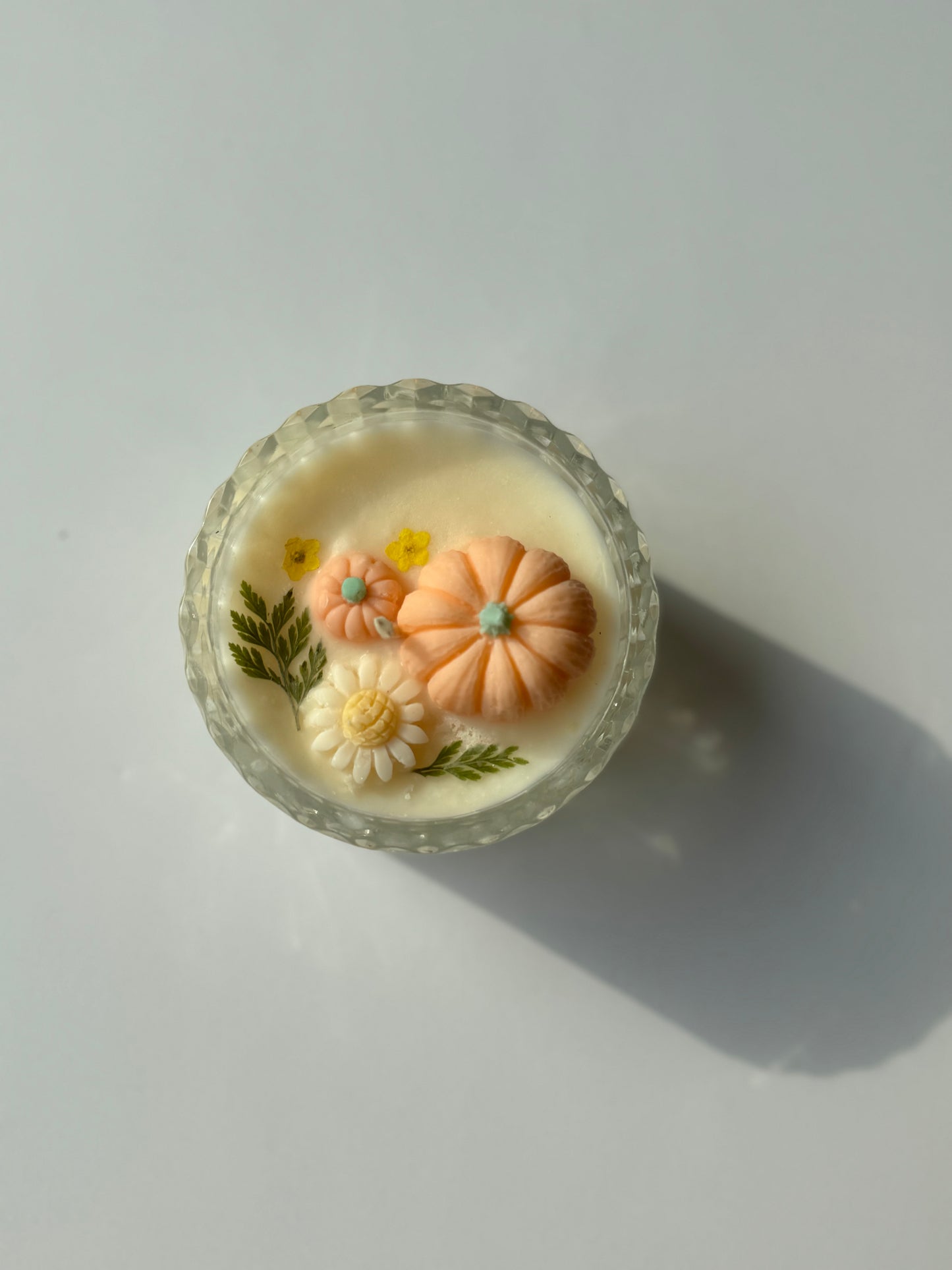 7oz Pumpkin Soy Wax Candle