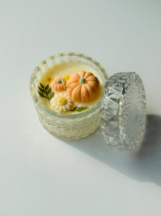 7oz Pumpkin Soy Wax Candle